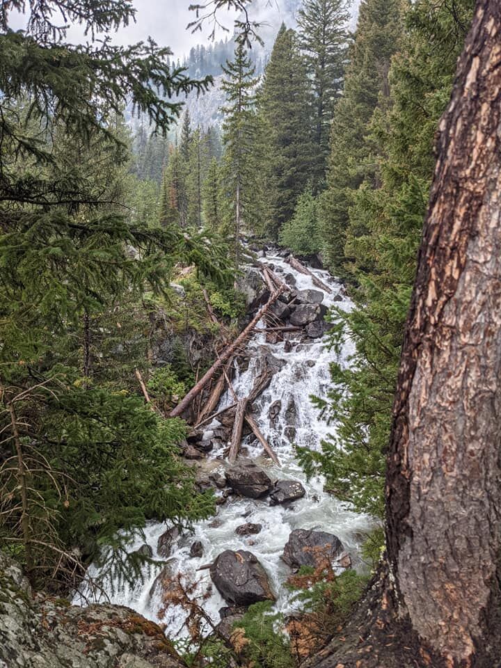 Hidden falls.jpg